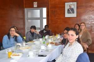 Las comunas de Valdivia, Río Bueno, Paillaco y Lago Ranco recibirán apoyo de graduados extranjeros.
