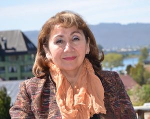 SEREMI-ERNA-GUERRA